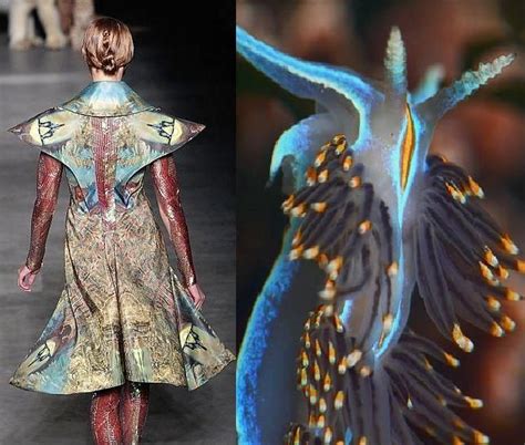 alexander mcqueen inspiré par les oiseau